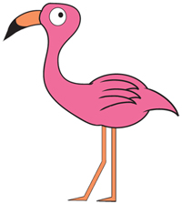 flamingo2
