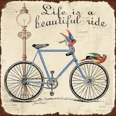 Life is a Beautifu Ride